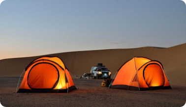 Enjoy Evening Desert Safari in Dubai